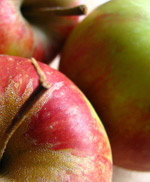 Tarçınlı Elma Topları tarifi